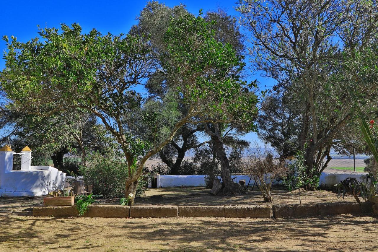 Casa Rural Finca Los Hierros Vejer de la Frontera Eksteriør bilde