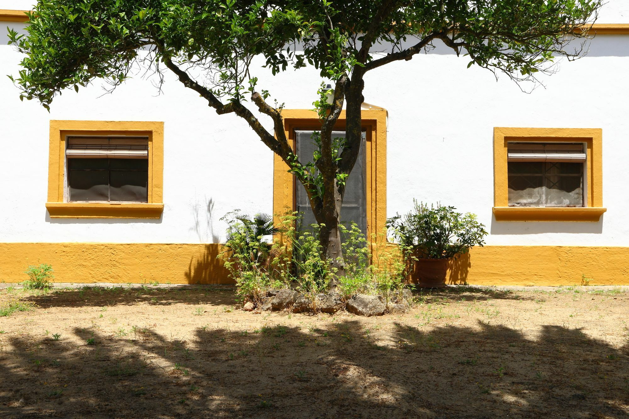 Casa Rural Finca Los Hierros Vejer de la Frontera Eksteriør bilde